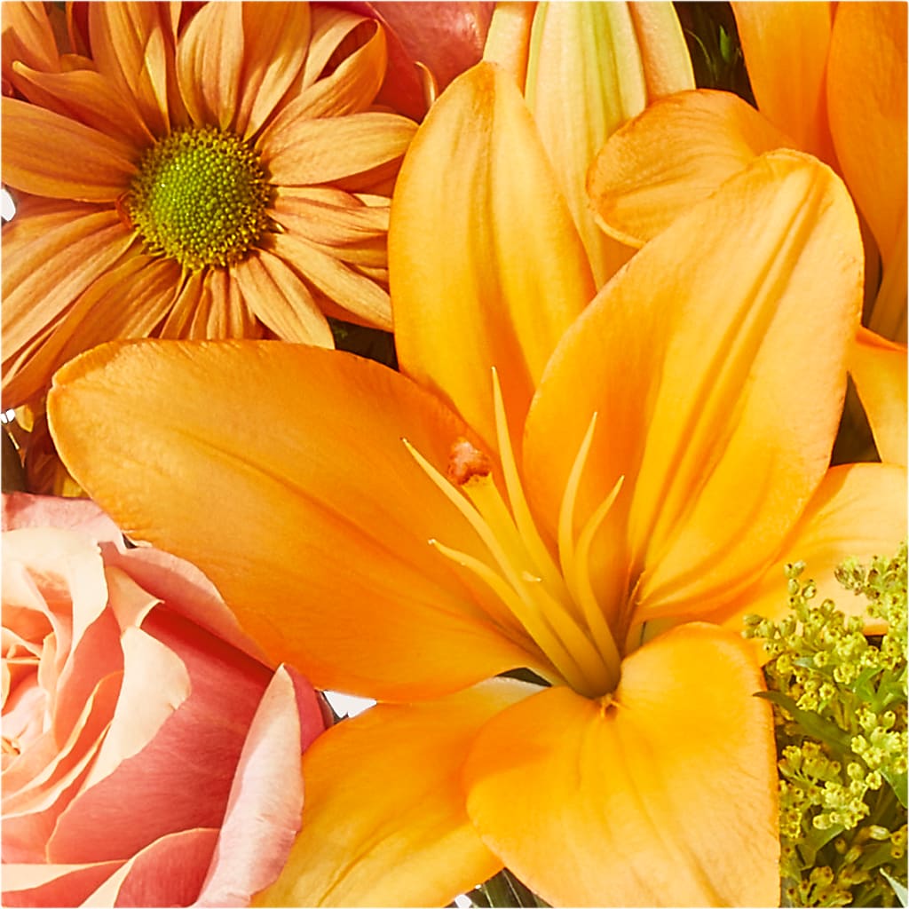 Harvest Hayride Bouquet –  Sunset Ridge Floral Llc, Morganton NC