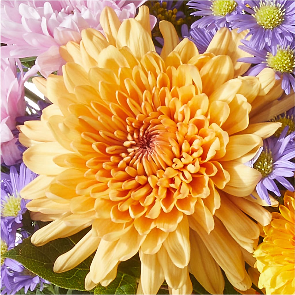 Countryside Bouquet –  Sunset Ridge Floral Llc, Morganton NC