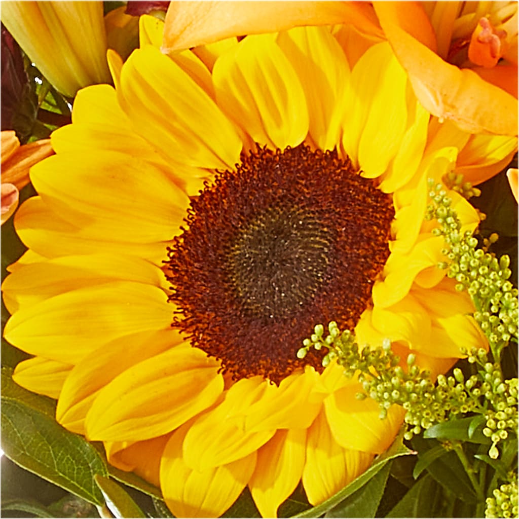Seasons Change Bouquet –  Sunset Ridge Floral Llc, Morganton NC