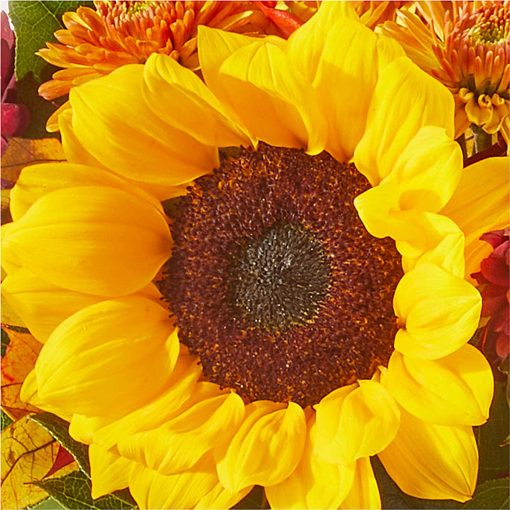 Sunny Side Bouquet –  Sunset Ridge Floral Llc, Morganton NC