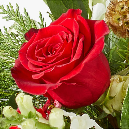 Deck the Halls Bouquet –  Sunset Ridge Floral Llc, Morganton NC