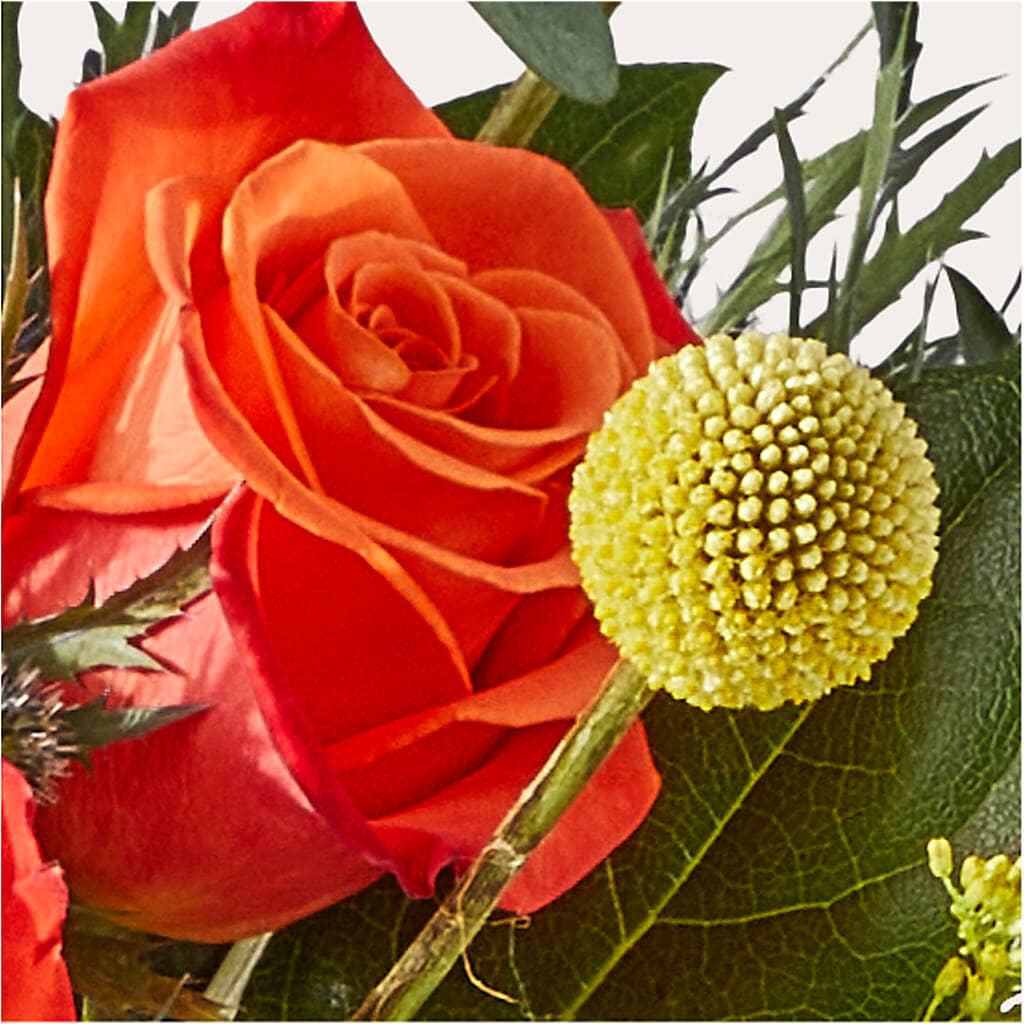 Disco Bouquet –  Sunset Ridge Floral Llc, Morganton NC