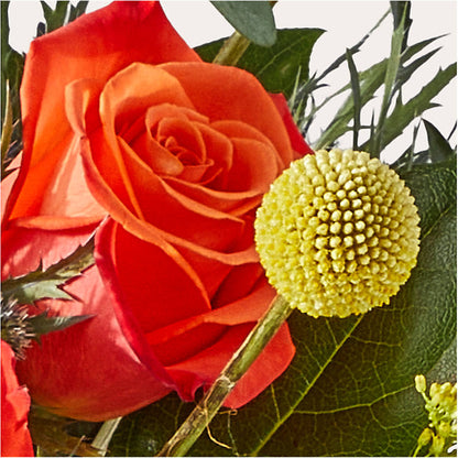 Disco Bouquet –  Sunset Ridge Floral Llc, Morganton NC