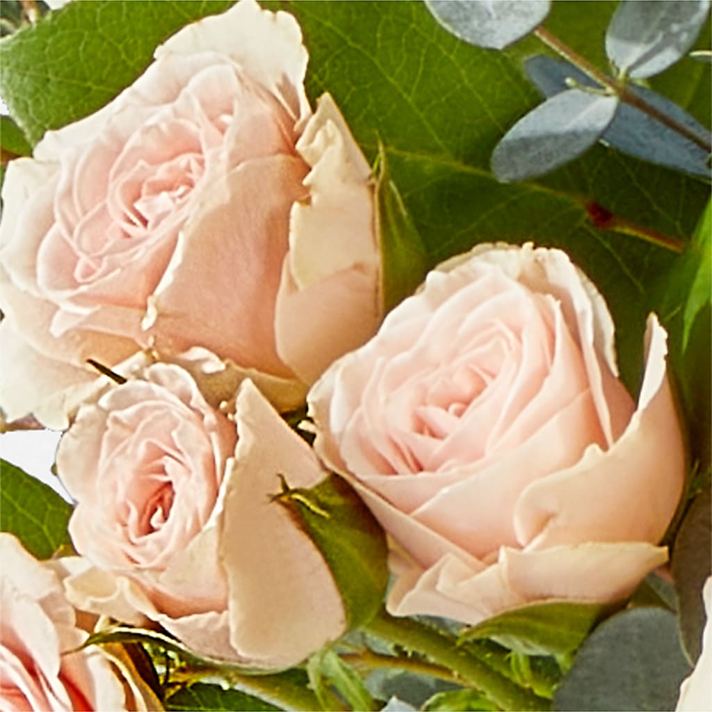 Inspired Bouquet –  Sunset Ridge Floral Llc, Morganton NC