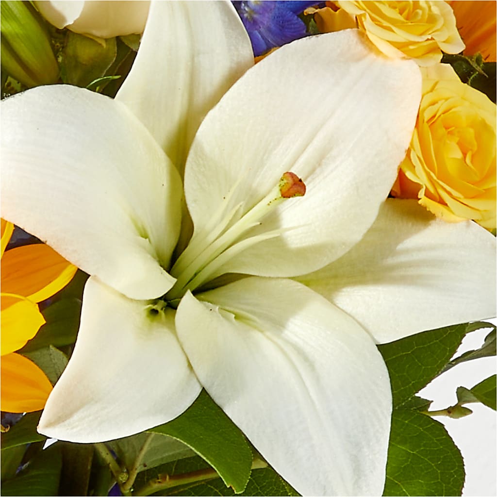 Wonderfully Sunny Bouquet –  Sunset Ridge Floral Llc, Morganton NC
