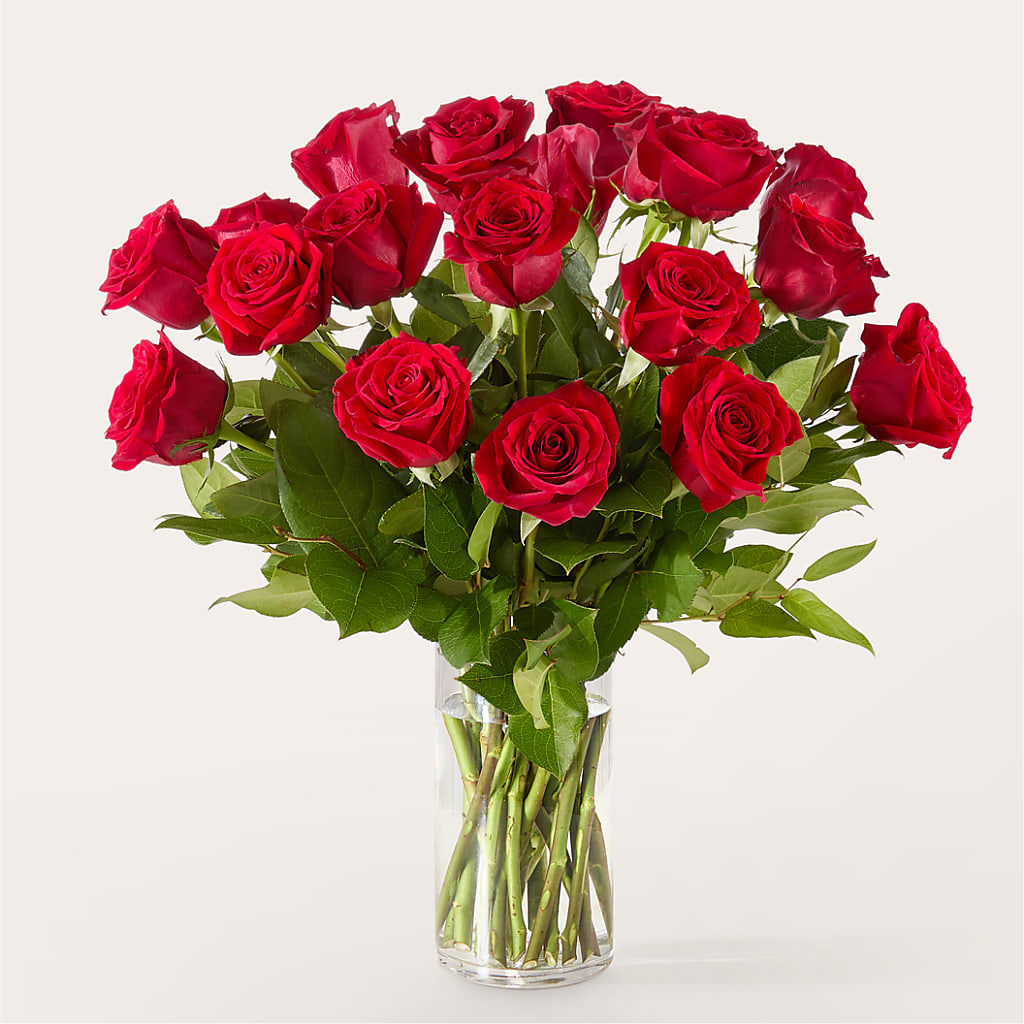 The One Red Rose Bouquet –  Sunset Ridge Floral Llc, Morganton NC