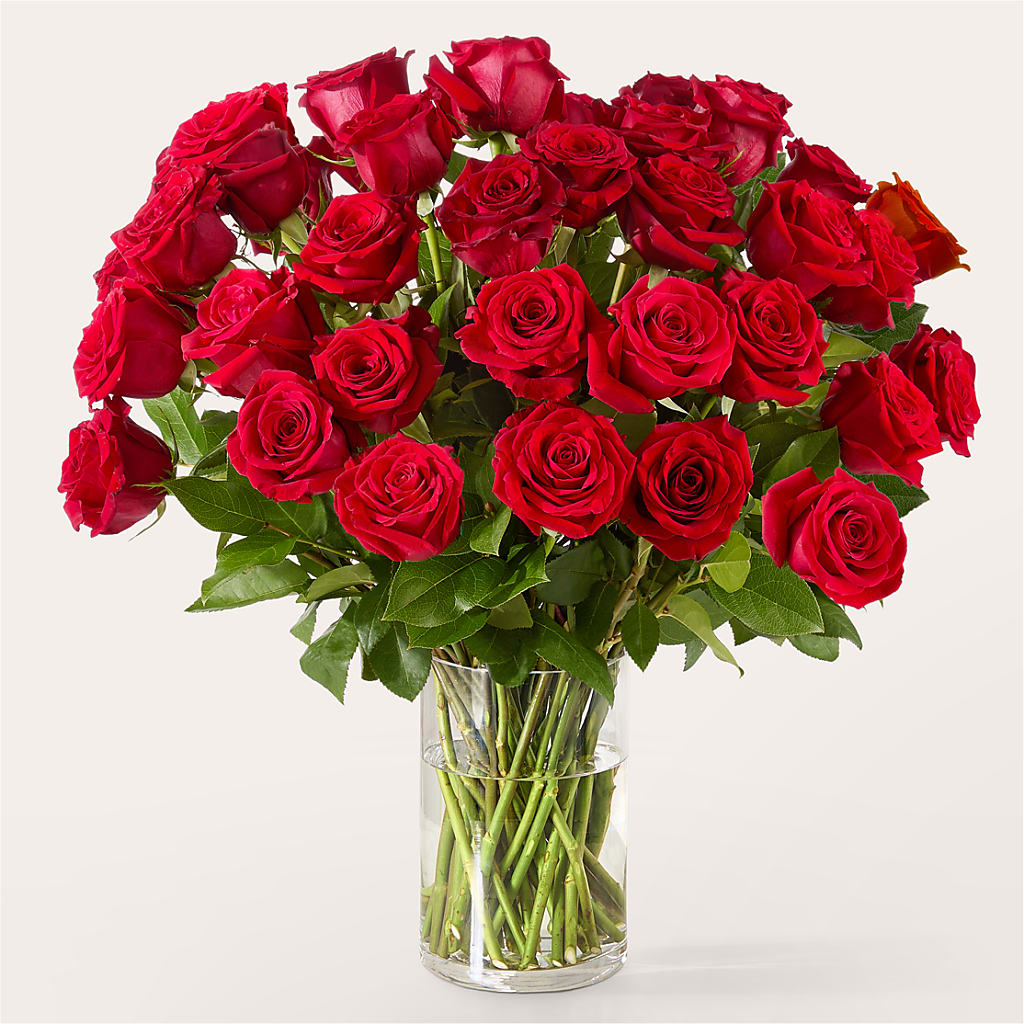 The One Red Rose Bouquet –  Sunset Ridge Floral Llc, Morganton NC
