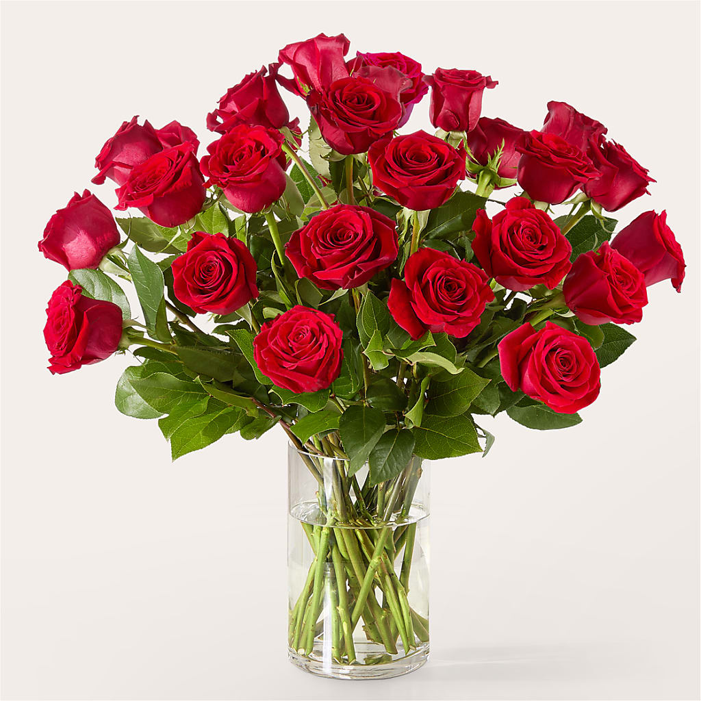 The One Red Rose Bouquet –  Sunset Ridge Floral Llc, Morganton NC