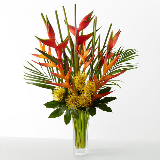 The Drama –  Sunset Ridge Floral Llc, Morganton NC