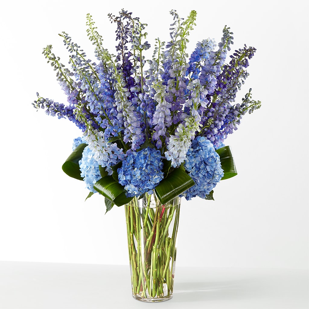 The Editorial –  Sunset Ridge Floral Llc, Morganton NC