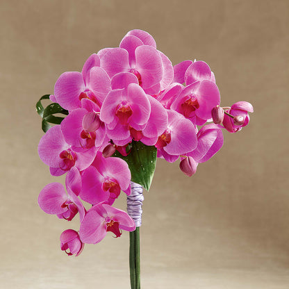 Glorious Bouquet –  Sunset Ridge Floral Llc, Morganton NC