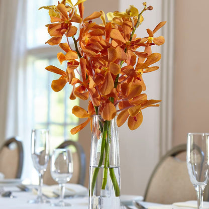 Orange Mokara Bud Vase –  Sunset Ridge Floral Llc, Morganton NC