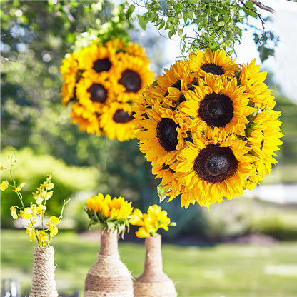 Sublime Garden Hanging Arrangement –  Sunset Ridge Floral Llc, Morganton NC