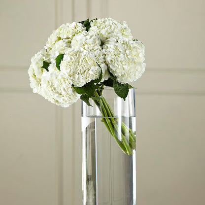 White Hydrangea Hand-Tied Bouquet –  Sunset Ridge Floral Llc, Morganton NC
