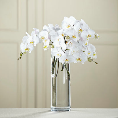 White Phalaenopsis Bouquet –  Sunset Ridge Floral Llc, Morganton NC