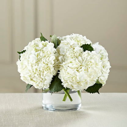White Hydrangea Bouquet –  Sunset Ridge Floral Llc, Morganton NC